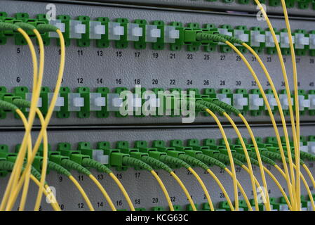 Optical Distribution Panels mit LWL-Kabel am passiven optischen Netzwerk Stockfoto