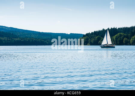 Kleine Yacht segeln am Lipno-See. Wald auf Hintergrund, Reflexion über Wasser und Wolken am Himmel. helle Sommer sonnigen Tag. Stockfoto