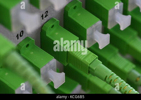 Optical Distribution Panels mit LWL-Kabel am passiven optischen Netzwerk Stockfoto