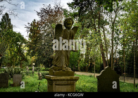 Groenesteeg Friedhof von Leiden, Niederlande Stockfoto