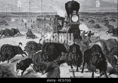 USA. Jagd auf Büffel. Der amerikanische Westen. Eine bufallo Hunter's Camp in Kansas. Gravur, 1877. Die Grafik. Stockfoto