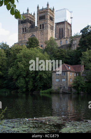 Durham Kathedrale am Fluss Wear mit Plastikflaschen und sonstigem Abfall im Wasser Stockfoto