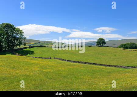 Wensleydale Landschaft North Yorkshire England Stockfoto