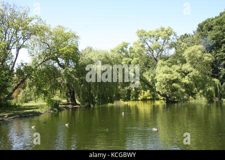 Thwaite Hall Gardens Blick in Cottingham, East Yorkshire Stockfoto