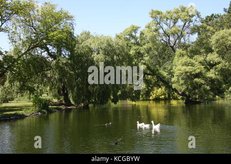 Thwaite Hall Gardens Blick in Cottingham, East Yorkshire Stockfoto