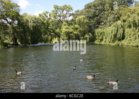 Thwaite Hall Gardens Blick in Cottingham, East Yorkshire Stockfoto