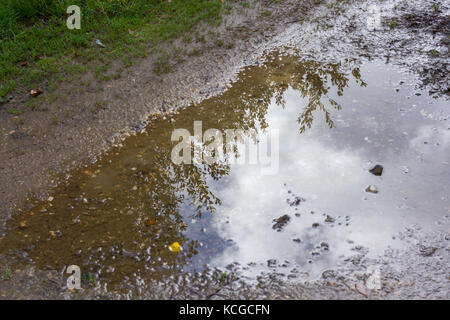 Bäume & Sky Reflexionen in eine Pfütze auf einen schlammigen Weg Stockfoto