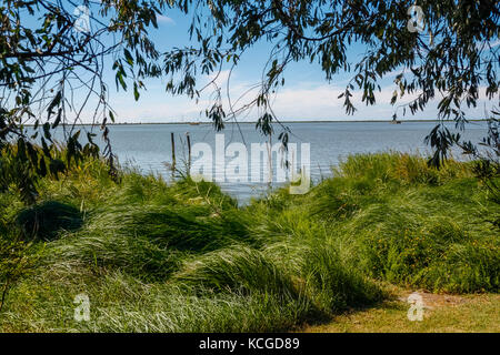 Italien Park von Delta del Po Fluss Porto Tolle: Küste Stockfoto