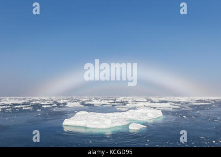 Fogbow/Nebel Bug/weiß Rainbow/Meerblick Hund über die Arctic Sea auf Spitzbergen, Norwegen Stockfoto