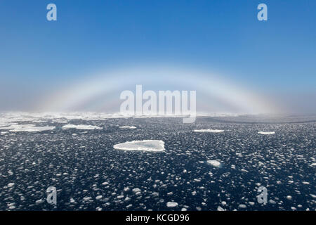 Fogbow/Nebel Bug/weiß Rainbow/Meerblick Hund über die Arctic Sea auf Spitzbergen, Norwegen Stockfoto