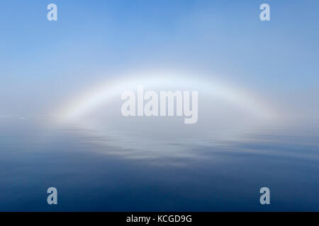 Fogbow/Nebel Bug/weiß Rainbow/Meerblick Hund über die Arctic Sea auf Spitzbergen, Norwegen Stockfoto