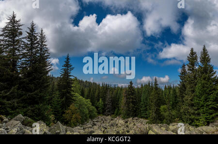 Goldene Brücken, Vitosha, Bulgariens im Herbst Stockfoto