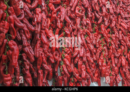 Pimientos im Puente La Reina, Navarra, Spanien Stockfoto