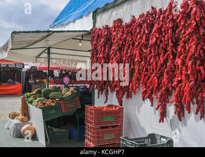 Pimientos im Puente La Reina, Navarra, Spanien Stockfoto