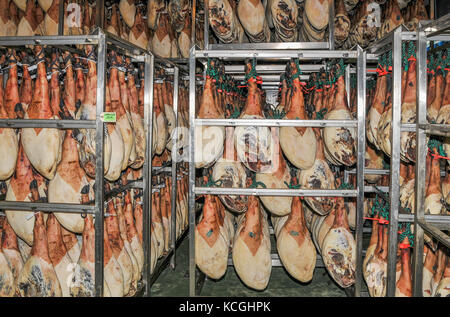 Schinken Produktion, jamon Belota, Extremadura, Spanien Stockfoto