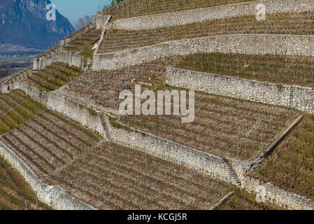 Crosex Grilleé, Aigle, Weinbau des Chablais Waadt, Schweiz Stockfoto