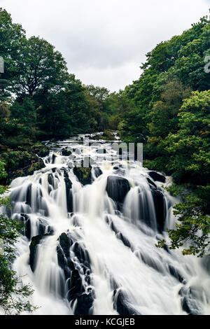 Swallow Falls, Betws-y-coed, Snowdonia National Park, Conwy, Wales Stockfoto