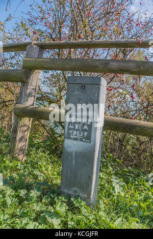 Folkstone Triennale, 2017 Stockfoto