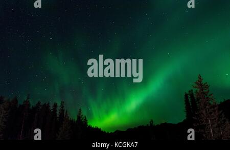 Northern Lights im Jasper Nationalpark Stockfoto