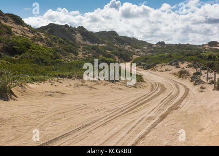 4WD-Tracks durch die hohen Sanddünen der Coorong National Park in South Australia. Stockfoto