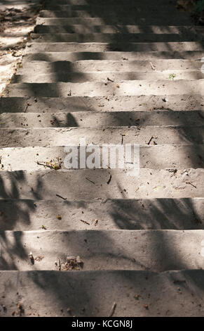 Beton Treppenstufen, Ansicht von oben. Im Park gebaut und fotografiert Close-up an einem sonnigen Tag. Schatten und Licht auf der Oberfläche der Treppe Stockfoto