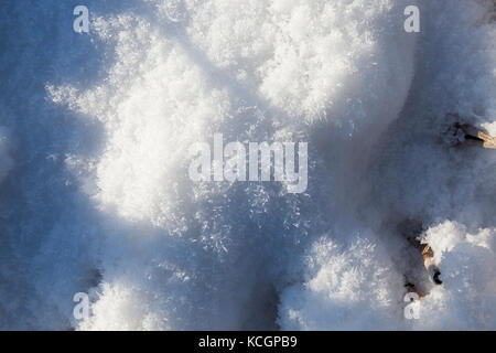Schnee in der Wintersaison, die nach einem Schneefall erschienen fotografiert. close-up, Stockfoto