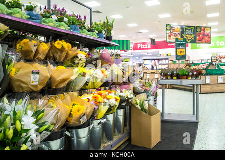 Einkaufen in einem Supermarkt - Blumensträuße auf dem Display und zum Verkauf in einem Morrisons Supermarkt. Stockfoto