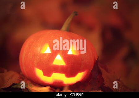 Halloween Theme. Jack-o'-Lantern Kürbis mit glow Nahaufnahme. Stockfoto