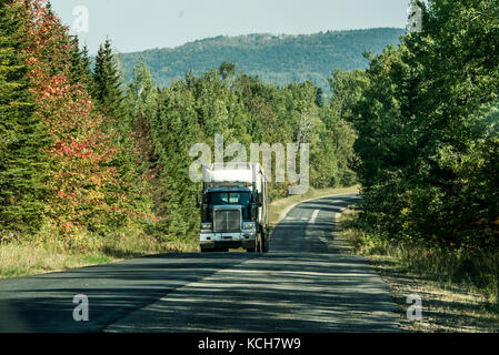 Halb Lkw auf der Autobahn im tiefen Wald in Kanada Ontario Quebec Stockfoto