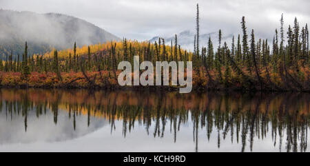 Herbst Landschaft entlang der Autobahn 1, in der Nähe von Mentasta Lake, Alaska, Nordamerika.