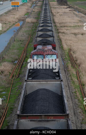 Ein CP (Canadian Pacific) Kohle Zug in Delta, British Columbia Kanada seine Endstation von Roberts Bank Superport nähert. Stockfoto