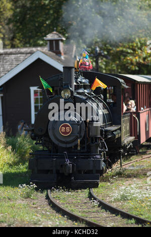 Dampflokomotive 25 am BC Wald Discovery Center in Duncan, British Columbia, Kanada. Stockfoto