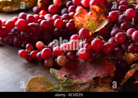 Trauben von reifen roten Trauben mit Blättern auf einem alten Holztisch. Stockfoto