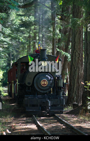 Dampflokomotive 25 am BC Wald Discovery Center in Duncan, British Columbia, Kanada. Stockfoto