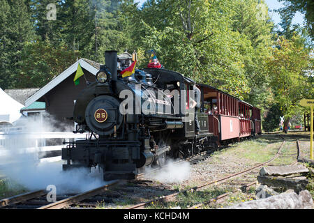 Dampflokomotive 25 am BC Wald Discovery Center in Duncan, British Columbia, Kanada Stockfoto