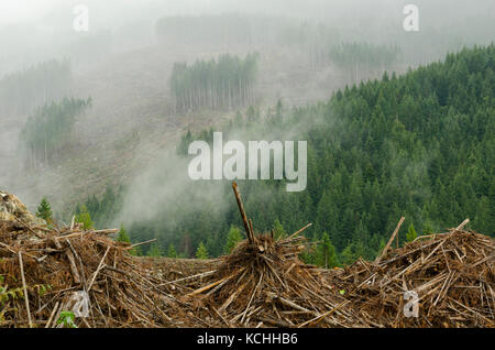 Eine Reihe von clearcuts und Slash Pfähle auf Vancouver Island, British Columbia. Stockfoto