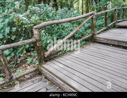 Holzbrücke mit dem Holz Geländer in den Naturlehrpfad auf der Spitze des Berges in den Nationalpark. Stockfoto