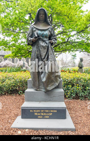 Bronze Statue der Heiligen Maria vom Kreuz MacKillop Stockfoto