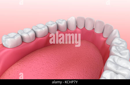 Mund, Zahnfleisch und Zähne. Medizinisch genaue Zahn 3D-Illustration Stockfoto