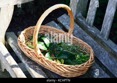 Weidenkorb der geschnittenen Kräuter Stockfoto