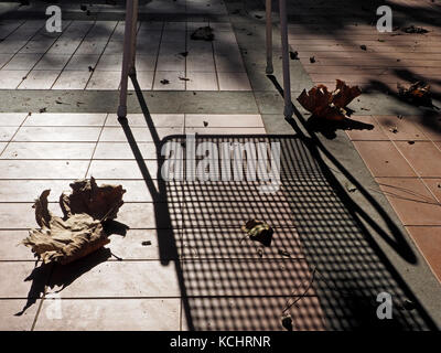 long shadows cast by outdoor chair and dried leaves in low Autumn sun on a terrace in Tuscany, Italy Stockfoto