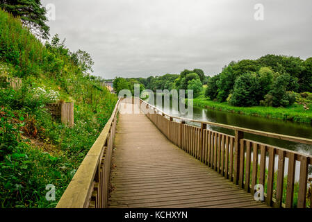 Fußgängerzone Holzsteg am Ufer des Flusses im Seaton Park Don, Aberdeen, Schottland Stockfoto