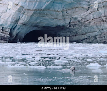 Tiefes Wasser Höhle auf margerie Gletscher Glacier Bay National Park, Alaska schmelzen und zu erhalten. Stockfoto