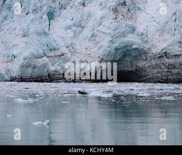 Detailansicht Der margerie Gletscher, wo er das Wasser tritt und Höhlen bilden, Tarr inlett Alaska Stockfoto