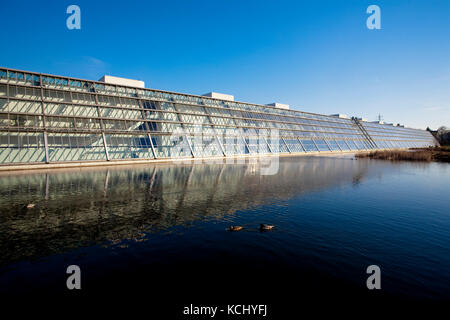 Deutschland, Ruhrgebiet, Gelsenkirchen, Wissenschaftspark Rheinelbe, 300m lange Glaspassage. Deutschland, Ruhrgebiet, Gelsenkirchen, Technologiezentrum Wissens Stockfoto