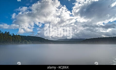 Geheimnisvolles Meer im Harz mit Nebel Stockfoto