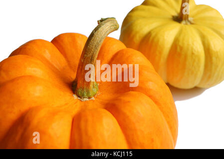 Bis geschlossen leuchtenden Farbe reife Kürbisse mit Stammzellen isoliert auf weißem Hintergrund Stockfoto