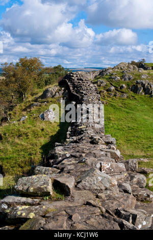 Abschnitt der Roman Hadrians Wall bei Walltown Crags Greenhead Northumberland England Vereinigtes Königreich GB Großbritannien Stockfoto