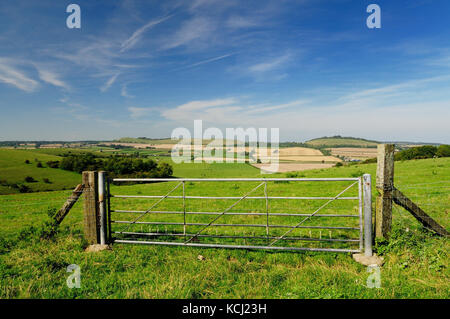 Ein Feld, das Gatter in der Wiltshire Landschaft, auf der Suche nach wenig Knoll und Lange Knoll. Stockfoto