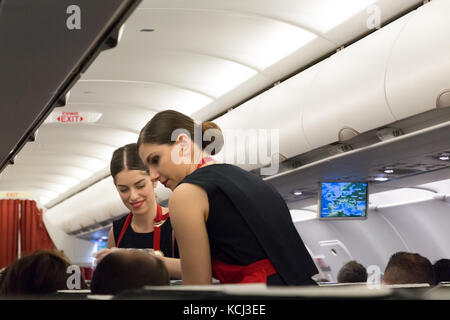 München, Deutschland - 21. September 2017: Zwei weibliche Flugbegleiter servieren das Essen in der Economy Class Aegean Airlines. Stockfoto